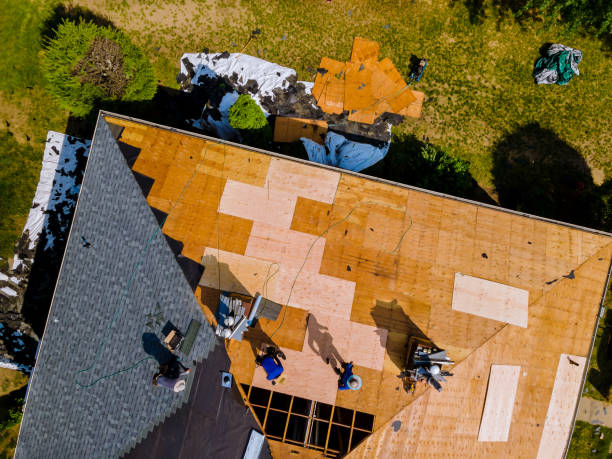 Best Roof Repair Services  in Quantico Base, VA