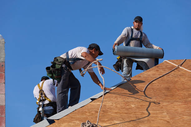 Best Metal Roofing Contractor  in Quantico Base, VA