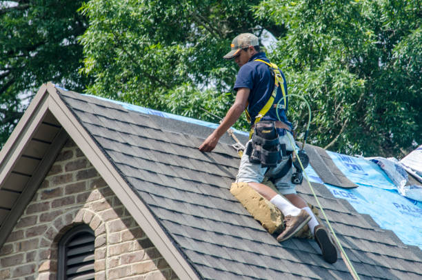 Best Roof Gutter Cleaning  in Quantico Base, VA